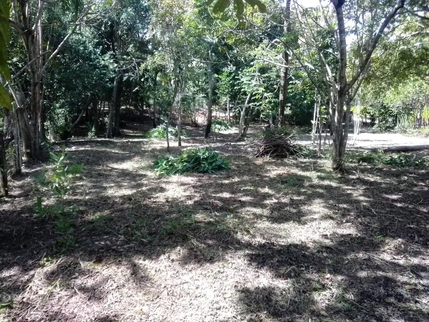 Foto 8 de Terreno / Lote à venda, 2000m2 em Marau - BA