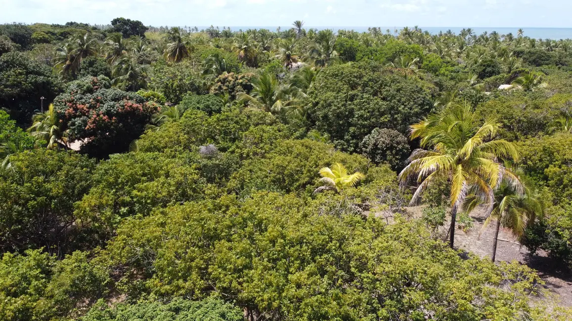 Foto 5 de Terreno / Lote à venda, 2000m2 em Marau - BA