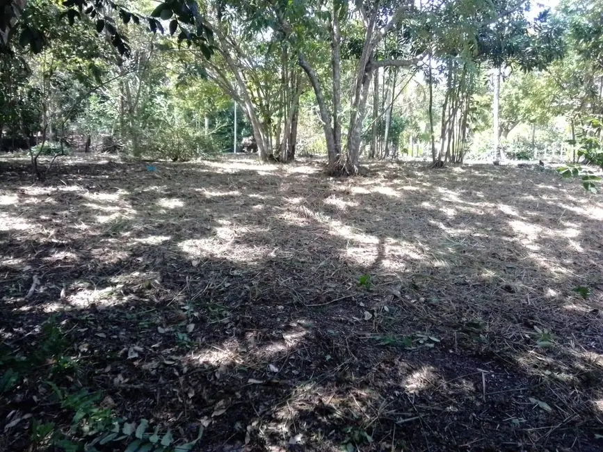 Foto 9 de Terreno / Lote à venda, 2000m2 em Marau - BA