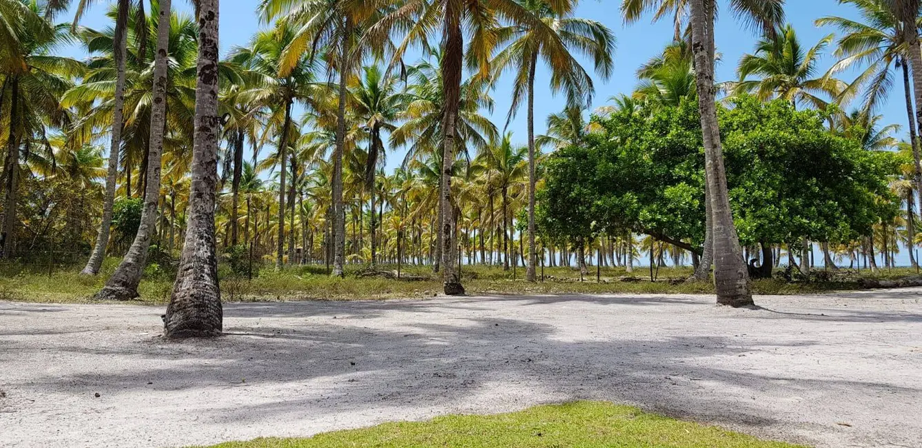 Foto 2 de Terreno / Lote à venda, 44360m2 em Igrapiuna - BA
