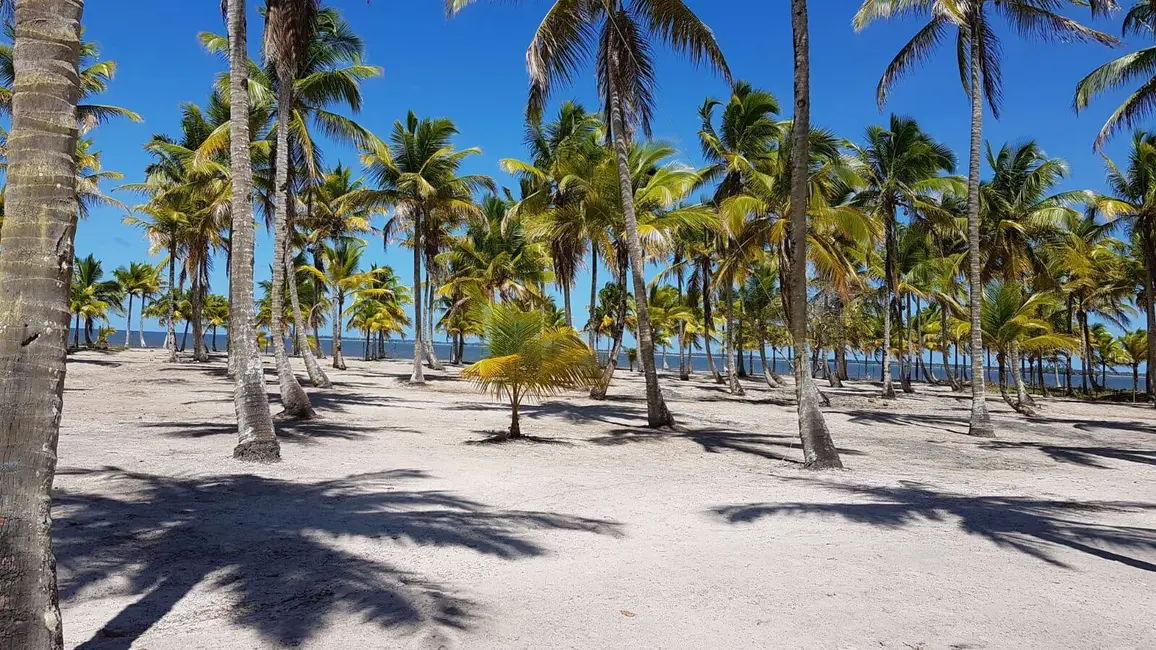 Foto 1 de Terreno / Lote à venda, 44360m2 em Igrapiuna - BA