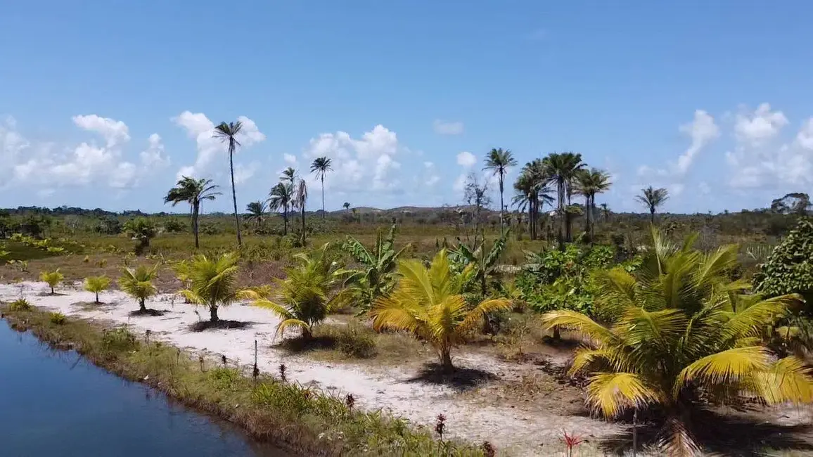 Foto 4 de Terreno / Lote à venda em Marau - BA