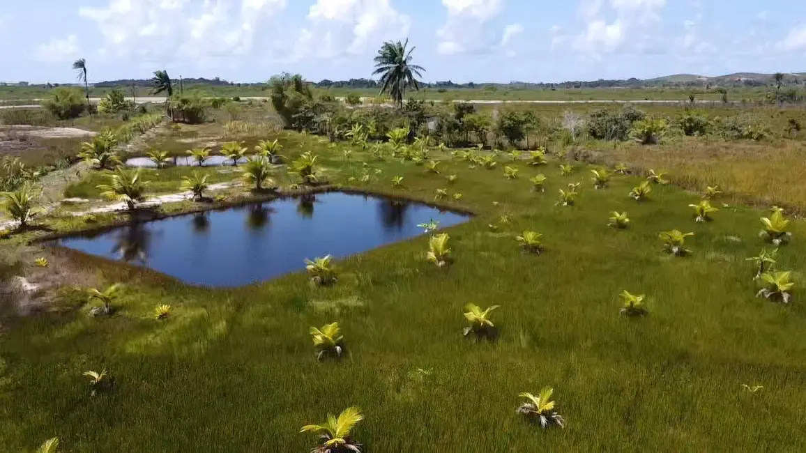 Foto 5 de Terreno / Lote à venda em Marau - BA