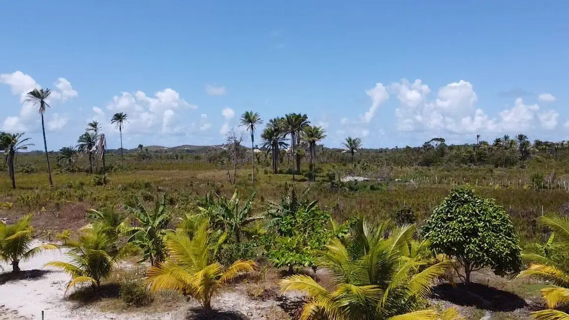 Foto 14 de Terreno / Lote à venda em Marau - BA