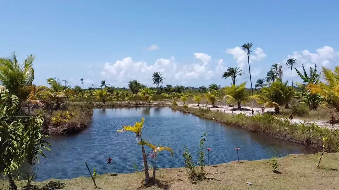 Foto 1 de Terreno / Lote à venda em Marau - BA