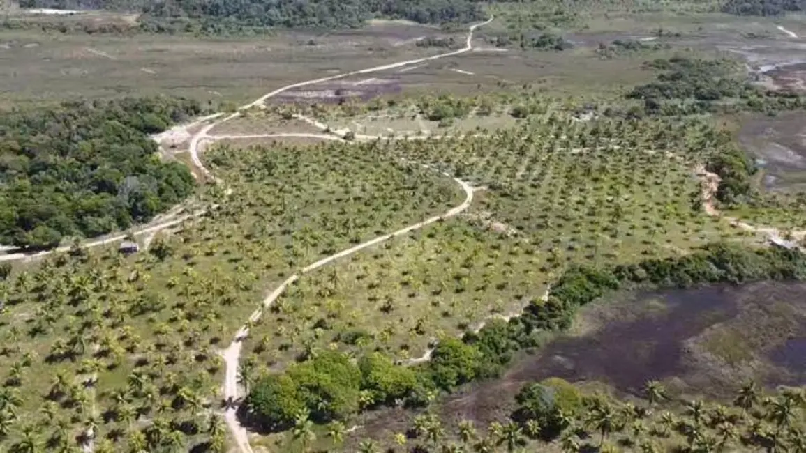 Foto 3 de Terreno / Lote à venda em Marau - BA