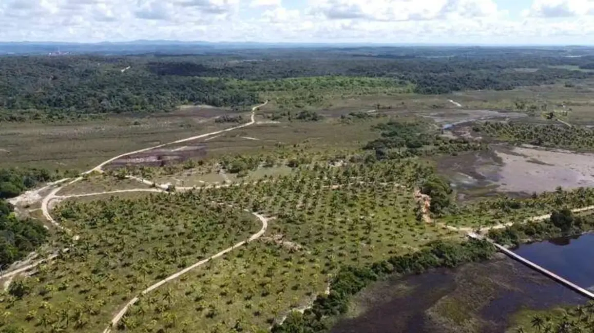 Foto 4 de Terreno / Lote à venda em Marau - BA