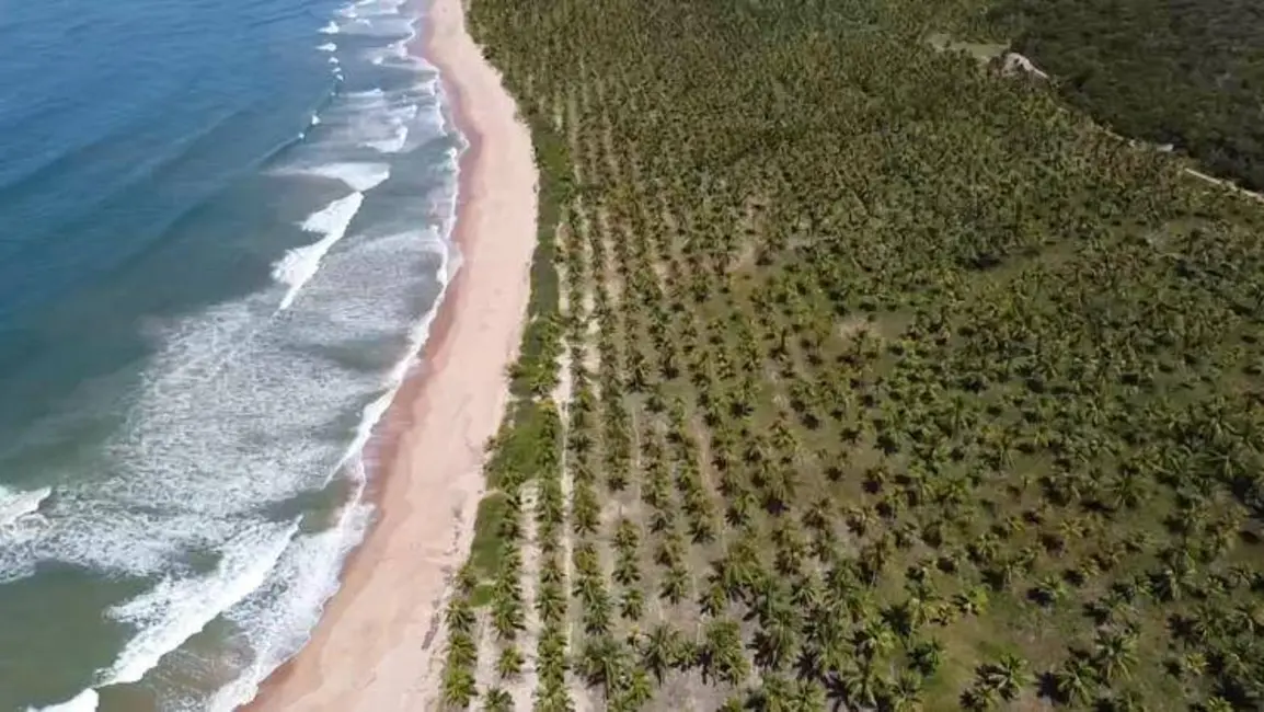 Foto 1 de Terreno / Lote à venda em Marau - BA