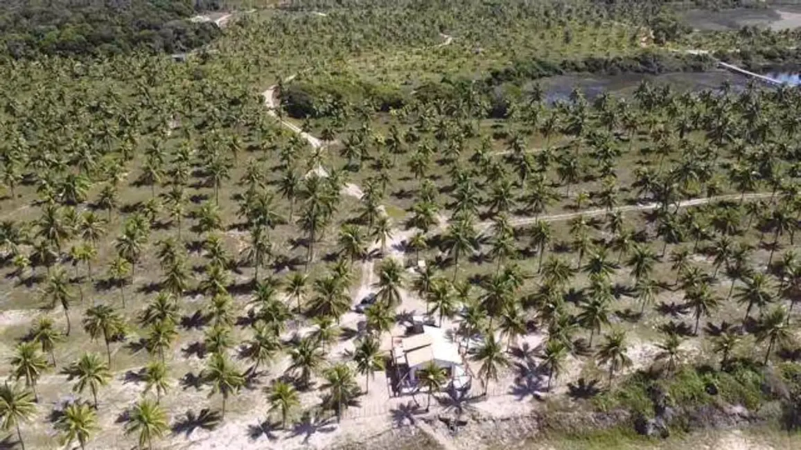 Foto 5 de Terreno / Lote à venda em Marau - BA