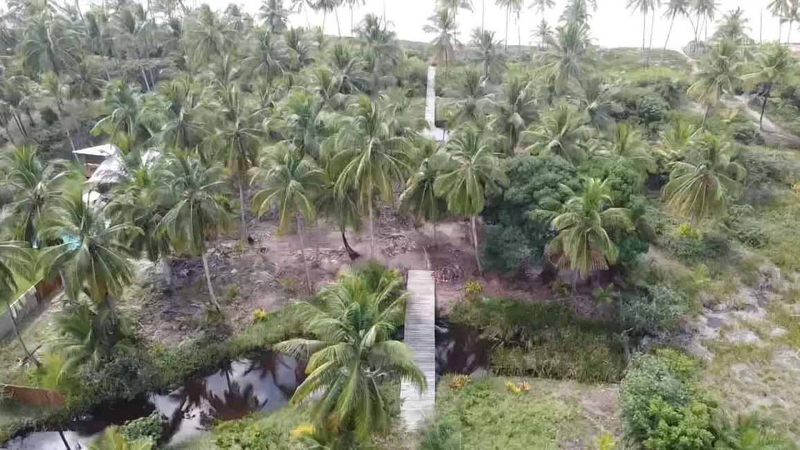 Foto 3 de Terreno / Lote à venda, 6000m2 em Marau - BA