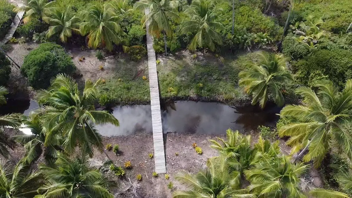 Foto 2 de Terreno / Lote à venda, 6000m2 em Marau - BA