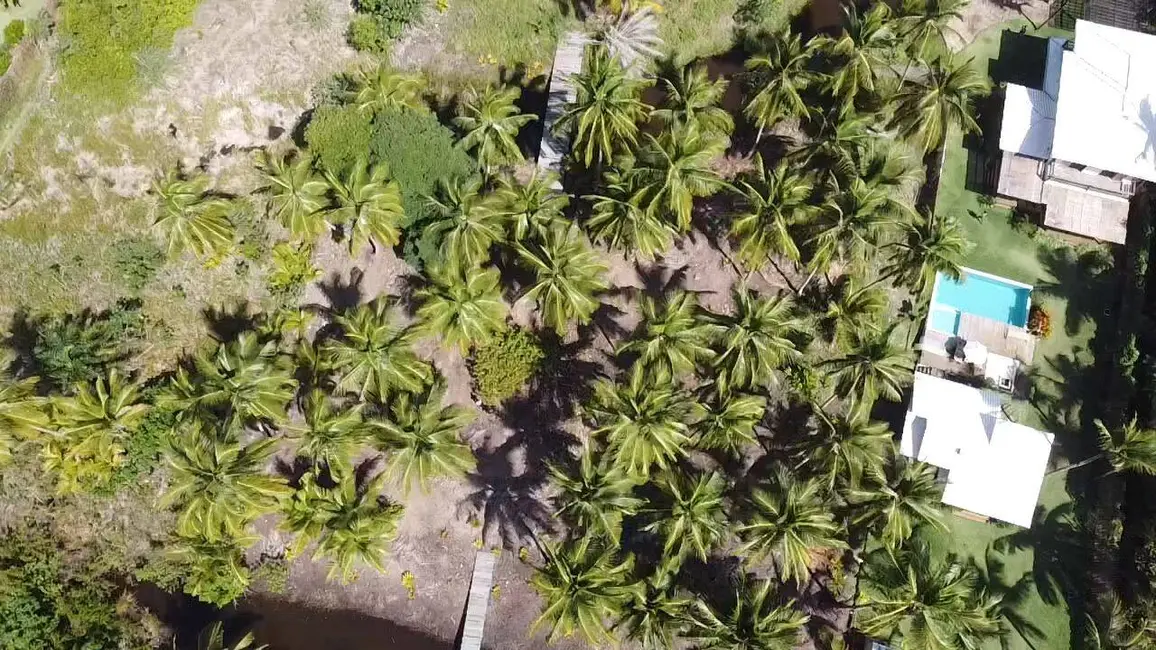 Foto 6 de Terreno / Lote à venda, 6000m2 em Marau - BA