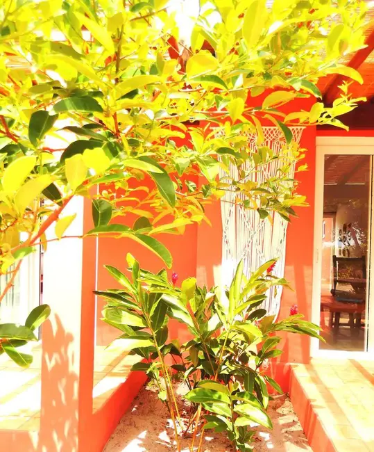 Foto 13 de Casa à venda, 157m2 em Marau - BA