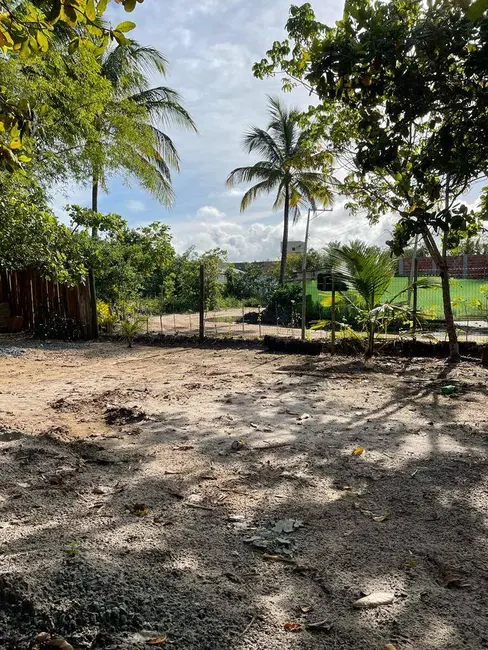 Foto 8 de Apartamento à venda, 450m2 em Marau - BA