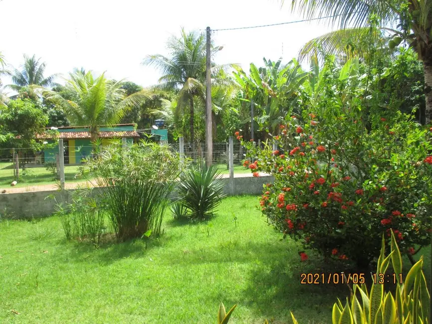 Foto 8 de Casa com 3 quartos à venda, 880m2 em Marau - BA