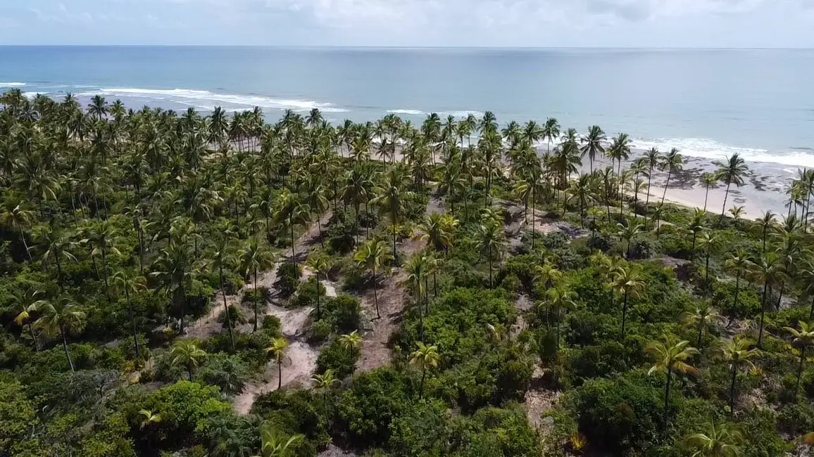 Foto 6 de Terreno / Lote à venda em Marau - BA