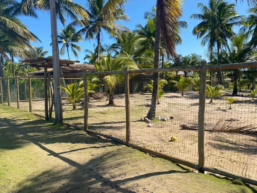 Foto 2 de Terreno / Lote à venda, 1000m2 em Marau - BA