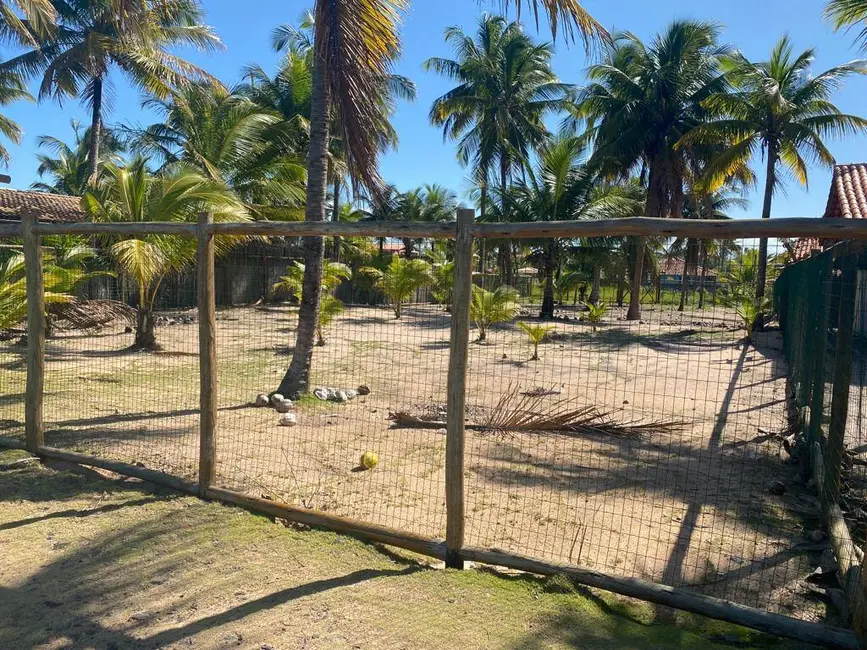 Foto 5 de Terreno / Lote à venda, 1000m2 em Marau - BA