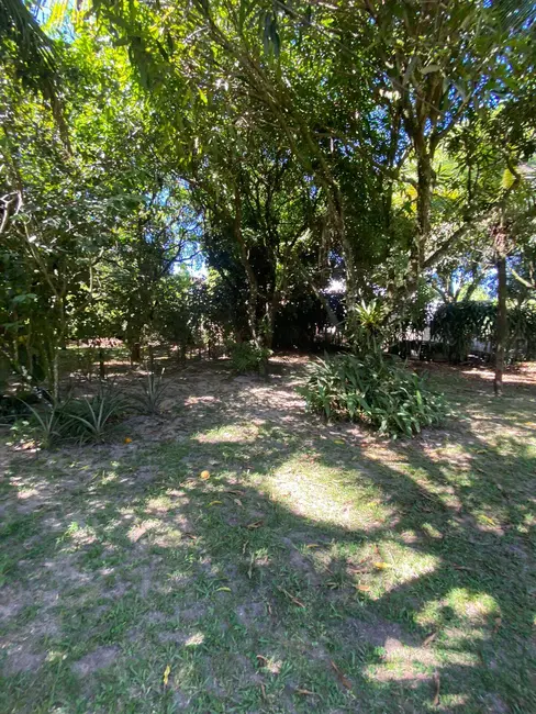 Foto 7 de Casa com 3 quartos à venda, 2000m2 em Marau - BA