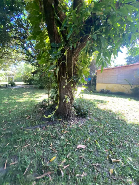 Foto 9 de Casa com 3 quartos à venda, 2000m2 em Marau - BA