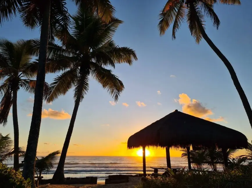 Foto 8 de Casa com 3 quartos à venda em Marau - BA