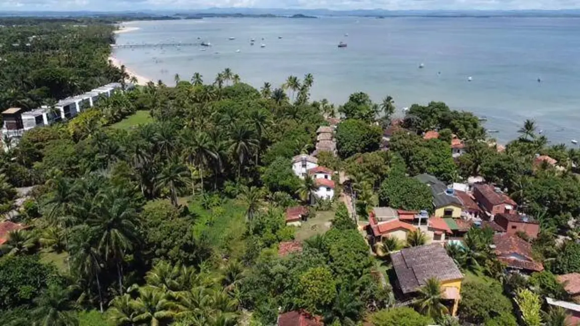 Sala Comercial à venda, 3900m2 em Marau - BA - imagem 5 Foto 5 de Sala Comercial à venda, 3900m2 em Marau - BA