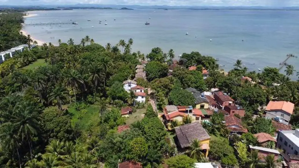 Sala Comercial à venda, 3900m2 em Marau - BA - imagem 3 Foto 3 de Sala Comercial à venda, 3900m2 em Marau - BA