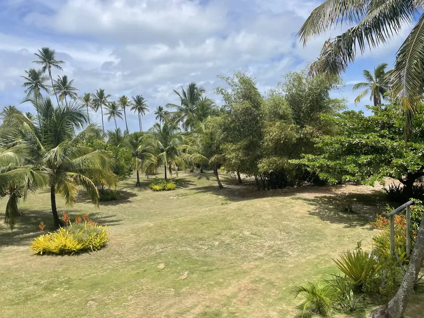 Foto 7 de Chácara à venda em Marau - BA