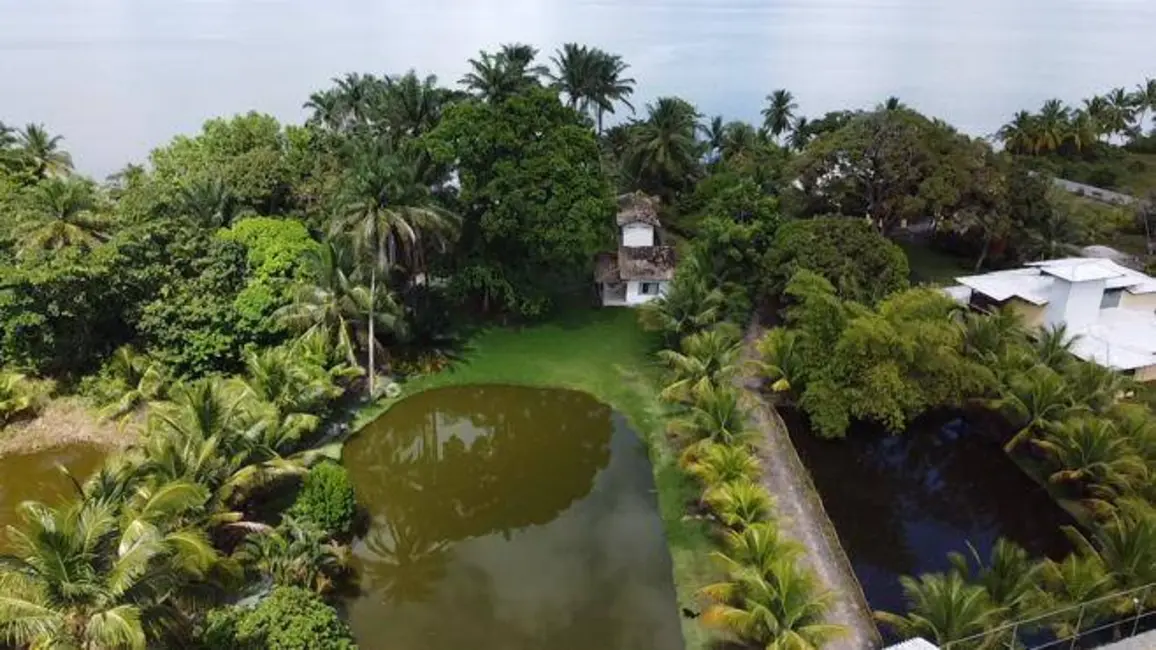 Foto 13 de Terreno / Lote à venda em Marau - BA