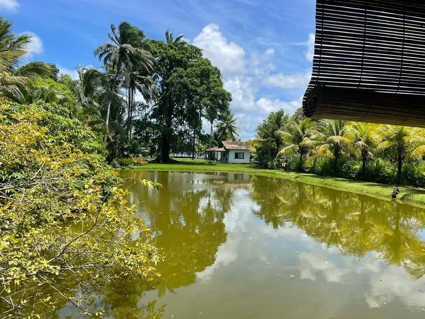 Foto 3 de Terreno / Lote à venda em Marau - BA