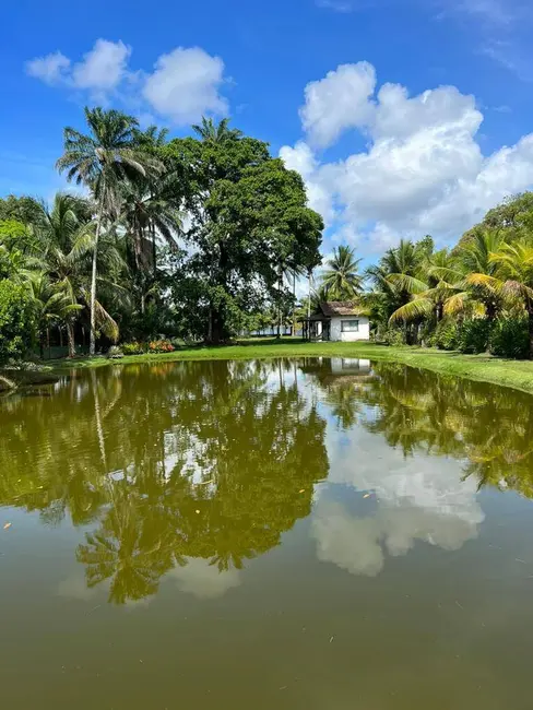 Foto 5 de Terreno / Lote à venda em Marau - BA