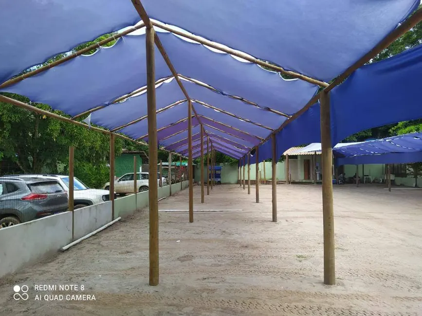 Foto 7 de Sala Comercial à venda, 700m2 em Marau - BA