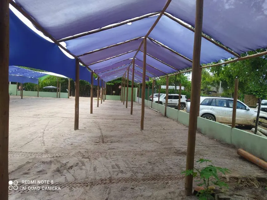 Sala Comercial à venda, 700m2 em Marau - BA - imagem 9 Foto 9 de Sala Comercial à venda, 700m2 em Marau - BA