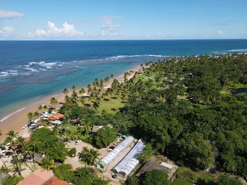 Sala Comercial à venda, 700m2 em Marau - BA - imagem 4 Foto 4 de Sala Comercial à venda, 700m2 em Marau - BA