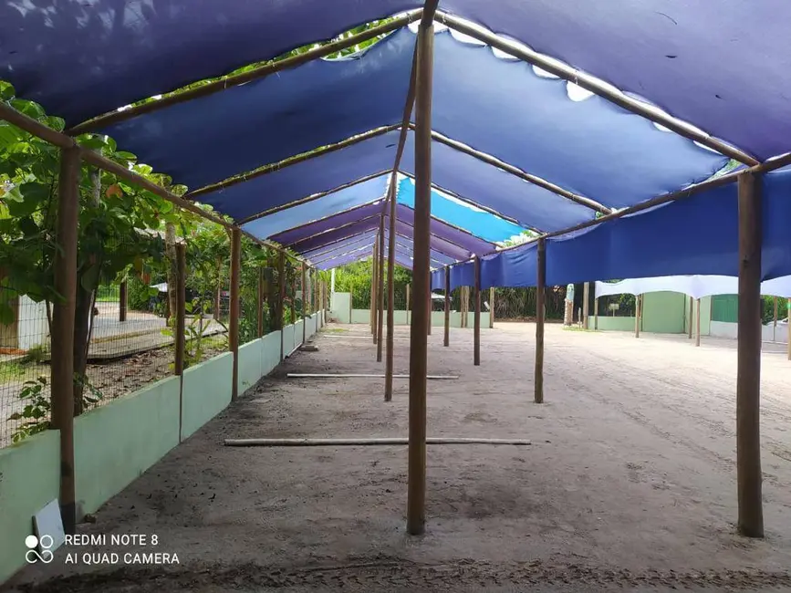 Sala Comercial à venda, 700m2 em Marau - BA - imagem 8 Foto 8 de Sala Comercial à venda, 700m2 em Marau - BA