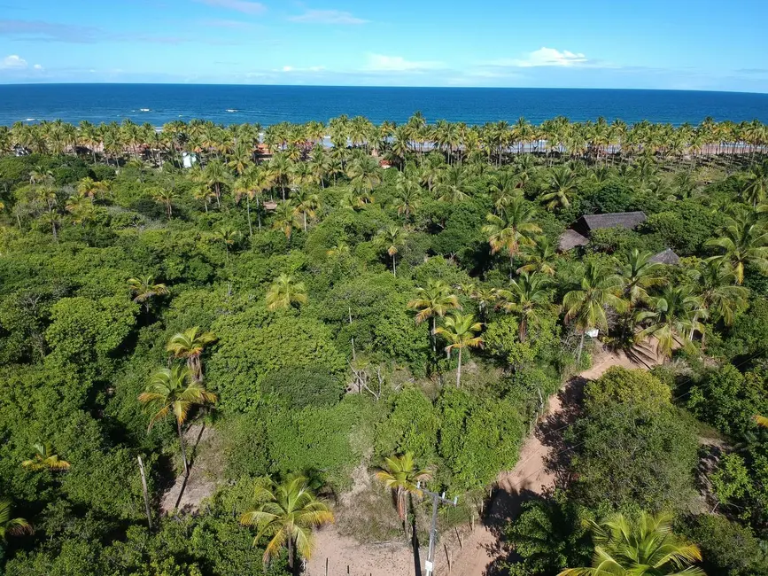 Foto 4 de Terreno / Lote à venda, 1500m2 em Marau - BA