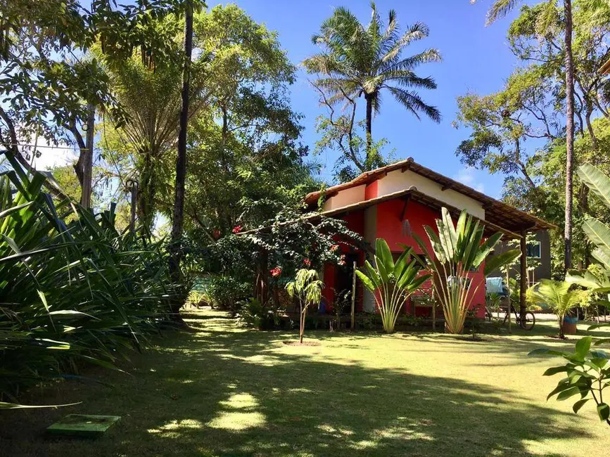 Sala Comercial à venda em Marau - BA - imagem 8 Foto 8 de Sala Comercial à venda em Marau - BA