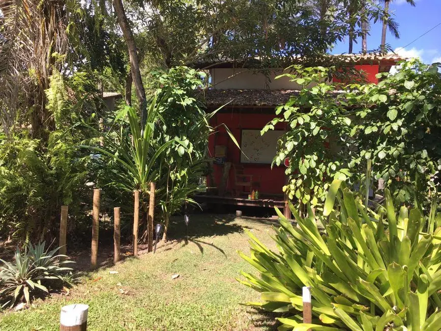 Sala Comercial à venda em Marau - BA - imagem 9 Foto 9 de Sala Comercial à venda em Marau - BA