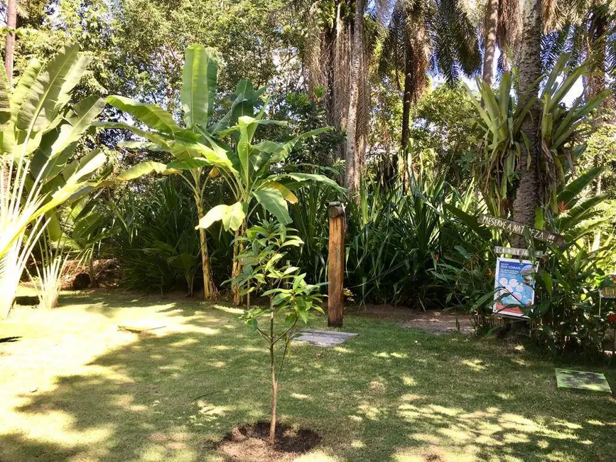 Foto 10 de Sala Comercial à venda em Marau - BA