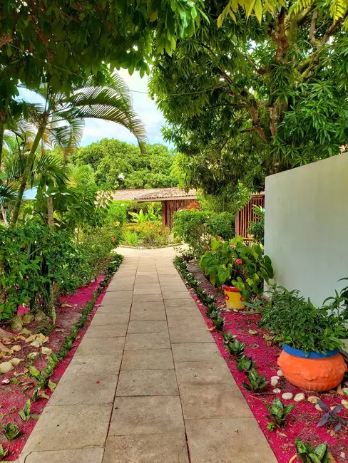 Foto 21 de Sala Comercial à venda em Marau - BA