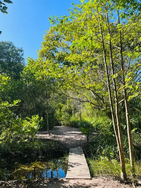 Foto 34 de Casa à venda em Marau - BA