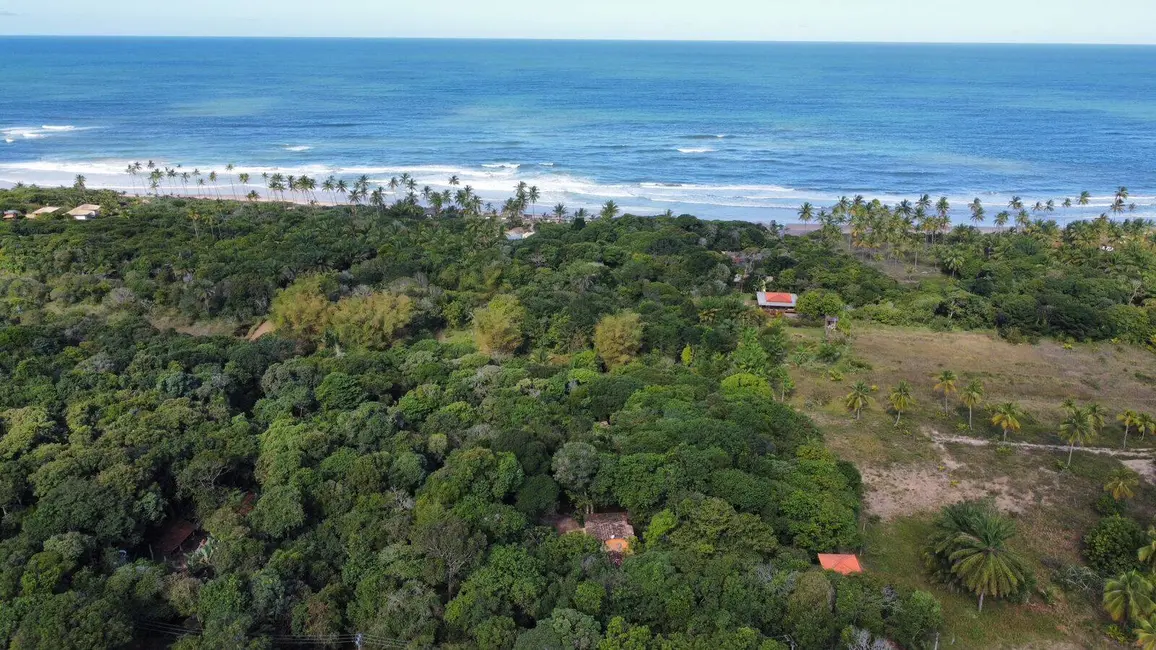 Foto 52 de Casa à venda em Marau - BA