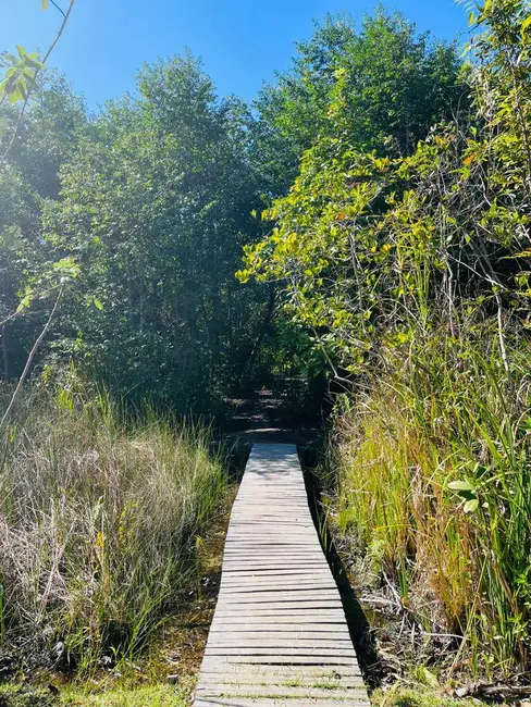 Foto 24 de Casa à venda em Marau - BA