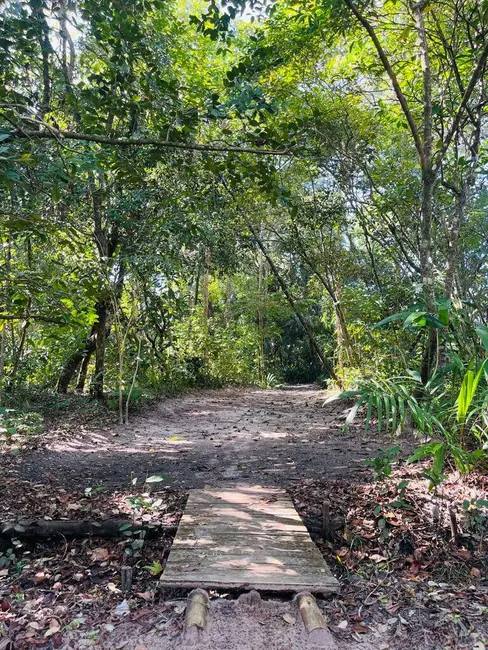 Foto 37 de Casa à venda em Marau - BA