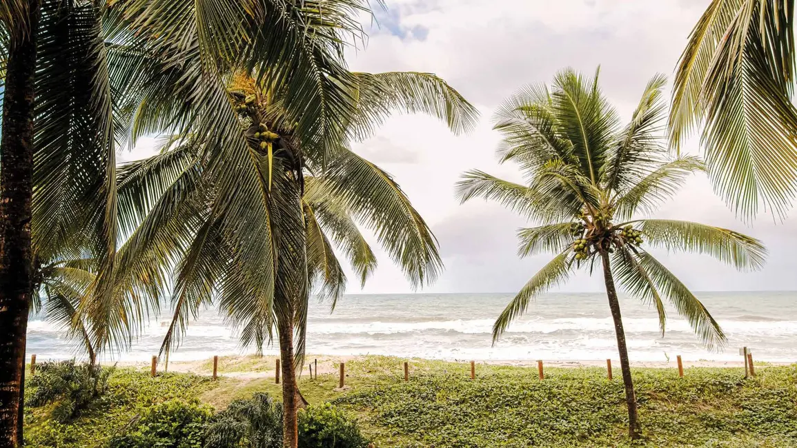 Foto 42 de Casa à venda em Marau - BA