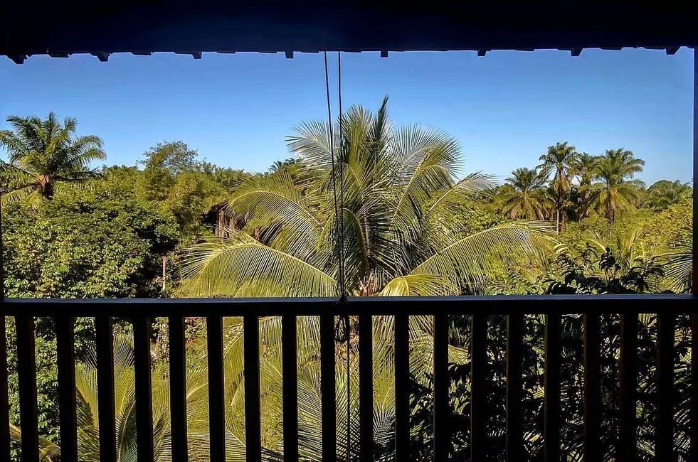 Foto 1 de Casa com 5 quartos à venda, 1500m2 em Cairu - BA