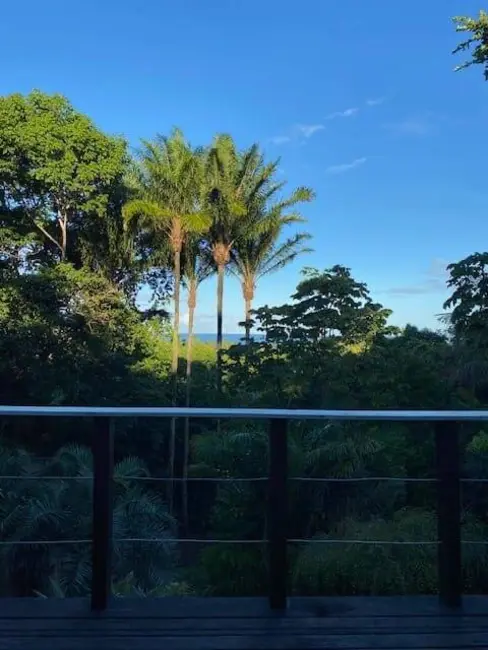 Foto 7 de Casa com 4 quartos à venda, 1000m2 em Cairu - BA