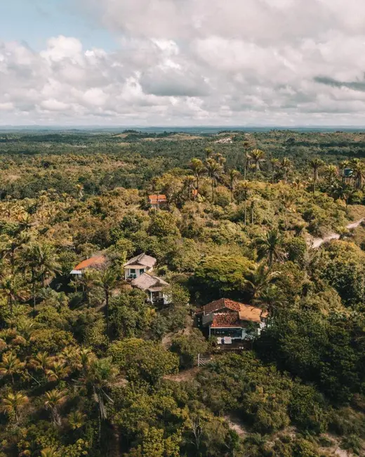 Foto 6 de Sala Comercial à venda, 2700m2 em Cairu - BA