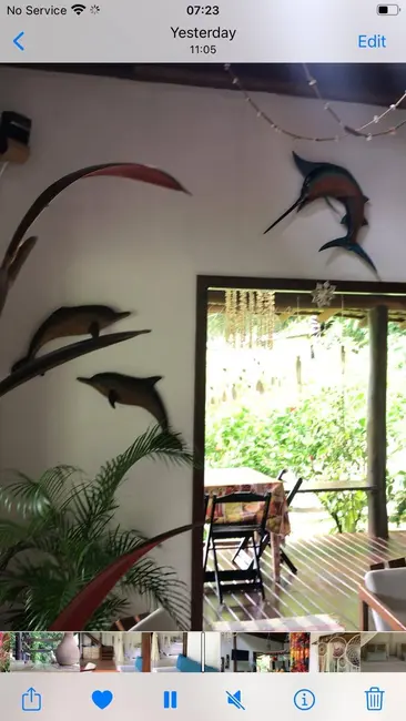 Foto 6 de Casa com 2 quartos à venda, 1200m2 em Cairu - BA