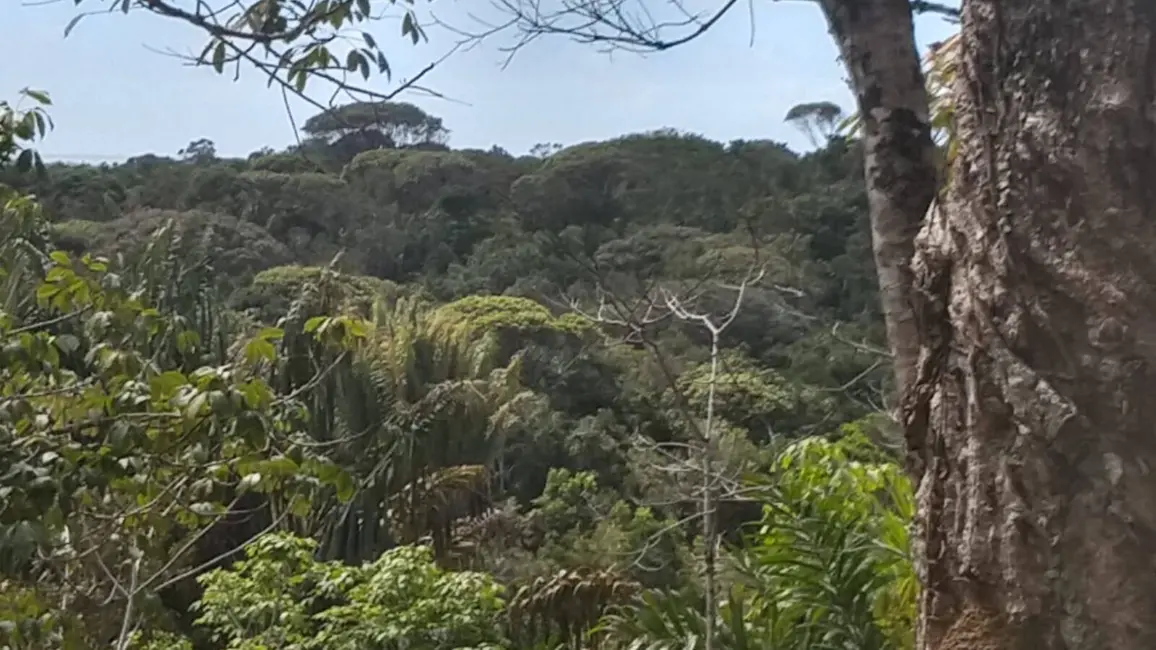 Foto 5 de Terreno / Lote à venda, 10000m2 em Marau - BA